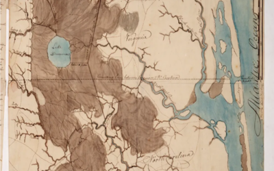 Great Dismal Swamp isn’t as great, dismal or swampy as it used to be