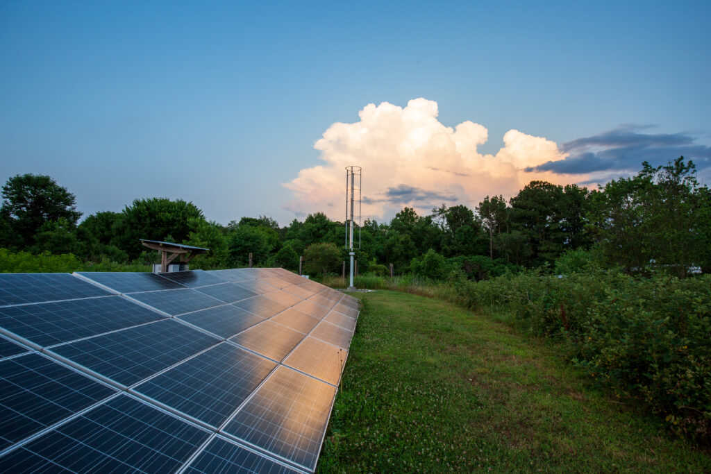 A solar energy field with rows of solar panels positioned on a grassy area, reflecting the warm light of a setting sun. In the background, dense green trees line the horizon beneath a bright blue sky with dramatic white and pink-tinged clouds. A small vertical wind turbine is also visible near the tree line.